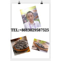 wholesale 2019 China Inner mongolia black sunflower seeds